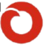 Group logo of Custom Patched USA